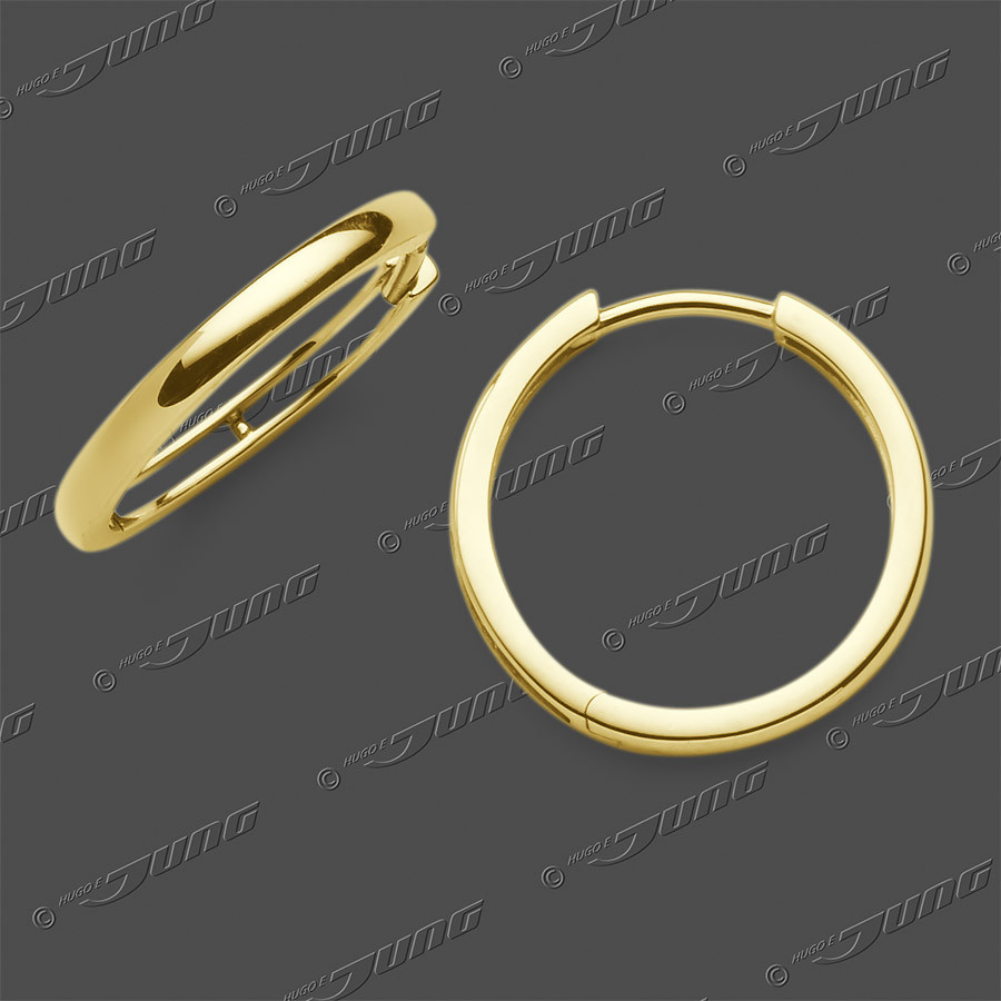15-0379 GG 333 Schar.-Creolen 18x2mm