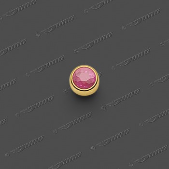 99-8403.30 GG 750 Nasenstecker 