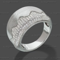 65-0022 -AKTION- SRh Ring