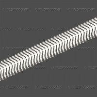 56.2163 SRh Schlange 6,3mm