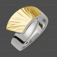 70-0048 SGW Ring 13mm