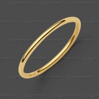 70-0070 GG Ring 1,3mm