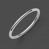 70-0070 WG Ring 1,3mm