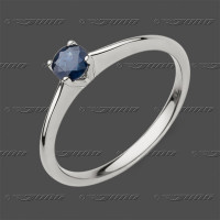 71-055.31 WG Ring 4mm