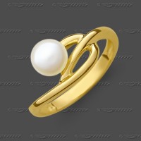 72-0412 GG 333 Ring 9,5mm