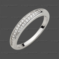 72-0589 SRh Ring 3,6mm