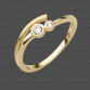 72-0658 GG 333 Ring 5,5mm